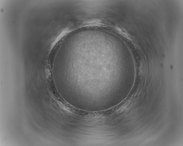 X0000070361400200606161240