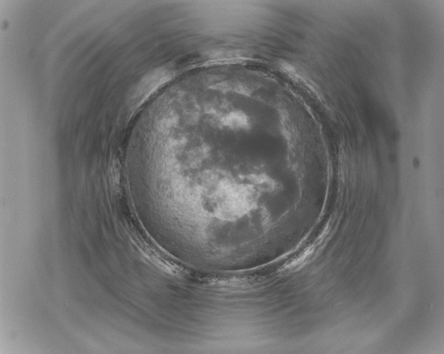 X0000070361401200606161240