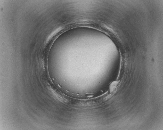 X0000070361402200606161240