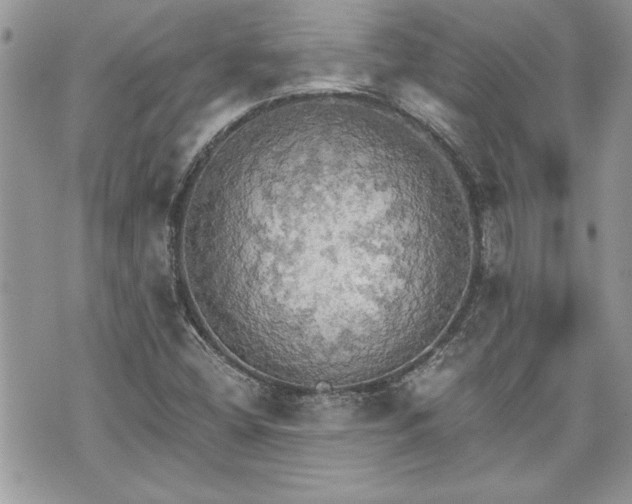 X0000070361404200606161240