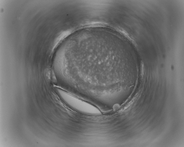 X0000070361405200606161240