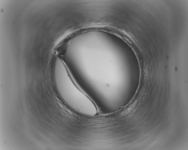 X0000070361406200606161240