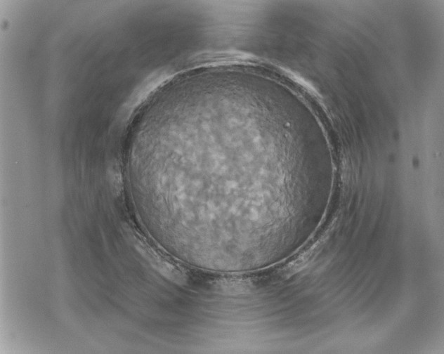 X0000070361407200606161240