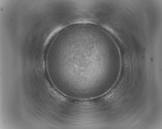 X0000070361408200606161240