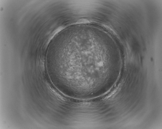 X0000070361409200606161240