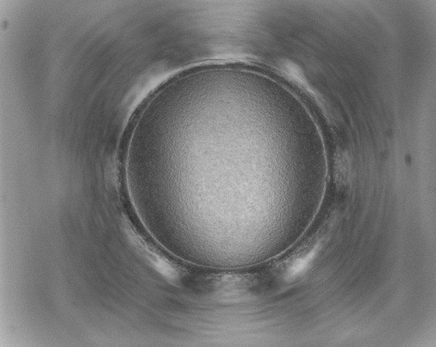 X0000070361412200606161240