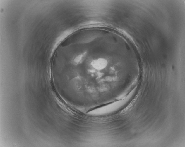 X0000070361413200606161240