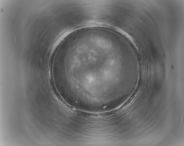 X0000070361415200606161240