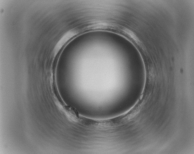 X0000070361418200606161240