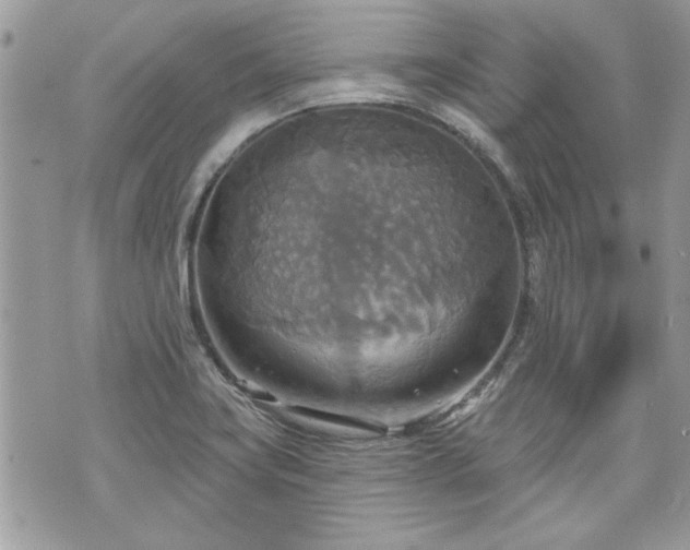 X0000070361419200606161240