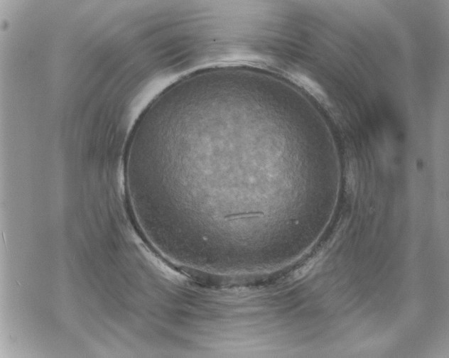 X0000070361420200606161240