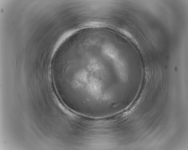 X0000070361421200606161240