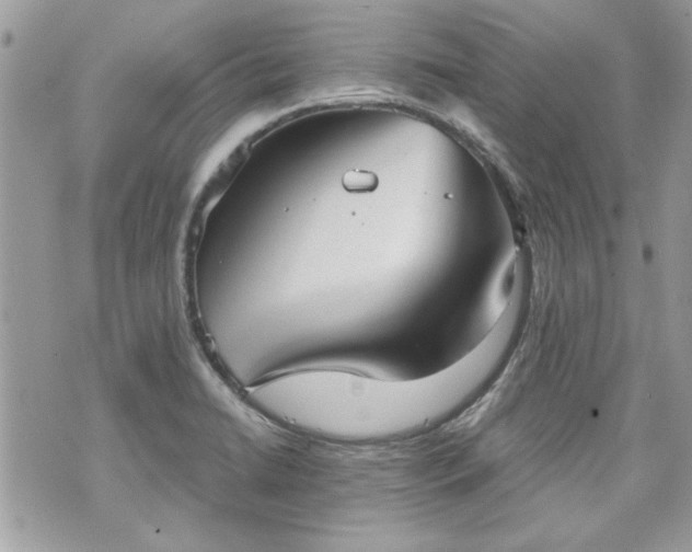 X0000070361422200606161240