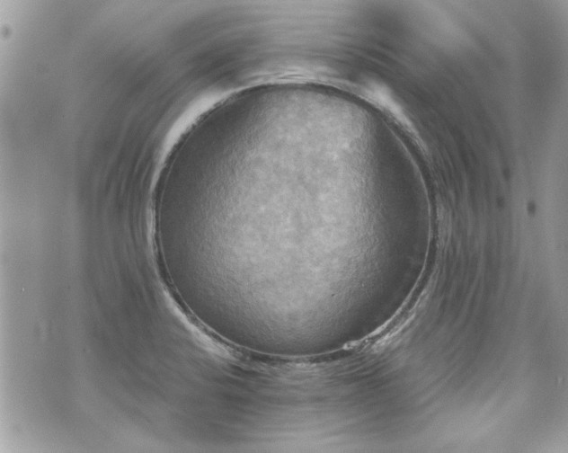 X0000070361424200606161240