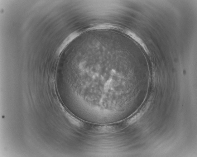 X0000070361425200606161240