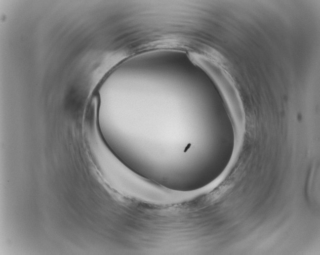 X0000070361426200606161240