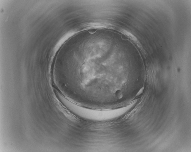 X0000070361427200606161240