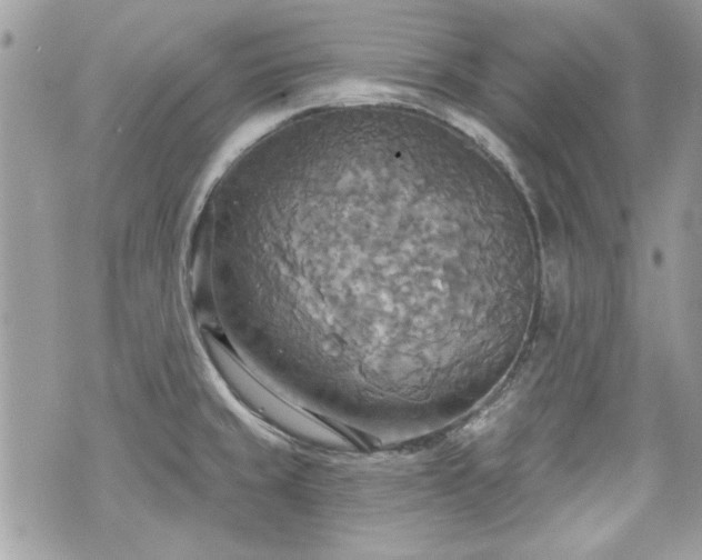 X0000070361429200606161240