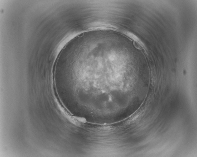 X0000070361431200606161240