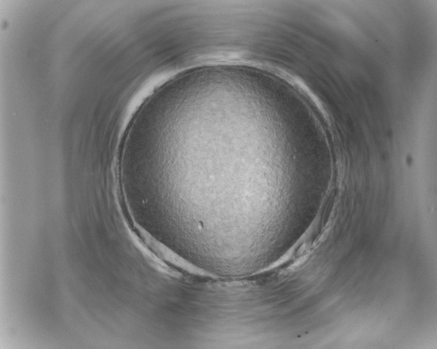 X0000070361432200606161240