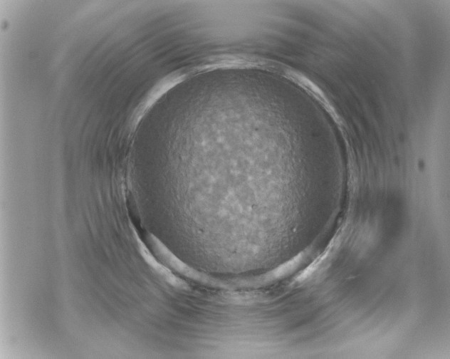 X0000070361433200606161240