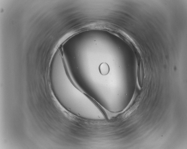 X0000070361434200606161240