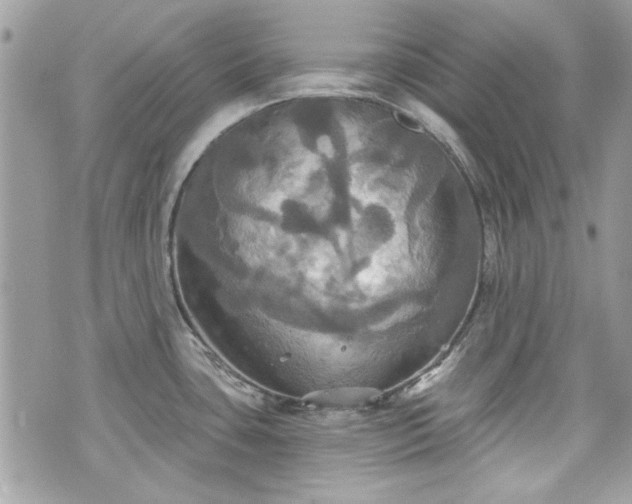 X0000070361435200606161240