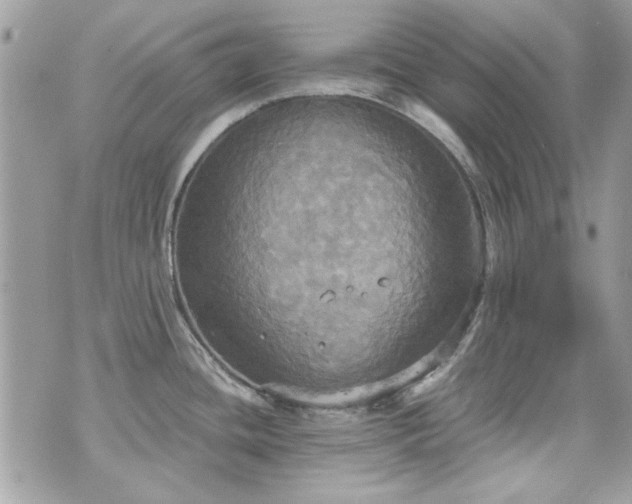 X0000070361436200606161240