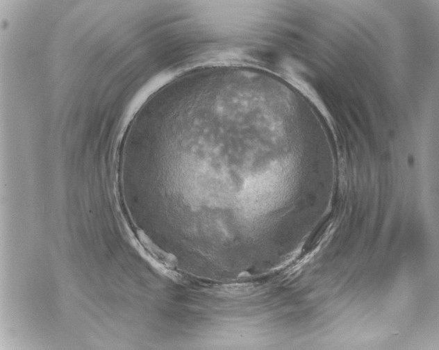 X0000070361437200606161240