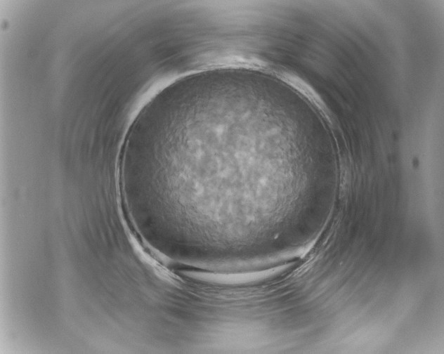 X0000070361439200606161240