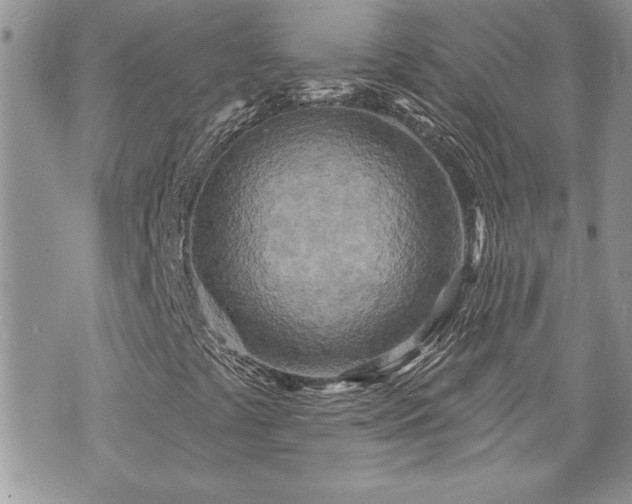 X0000070361441200606161239