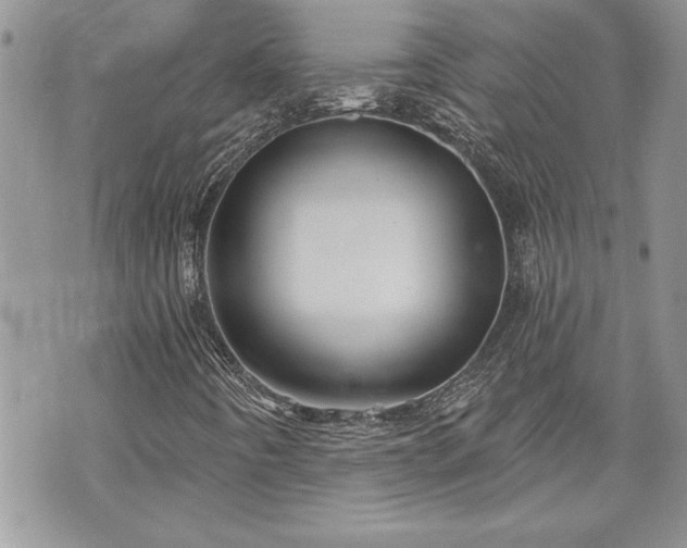 X0000070361442200606161239