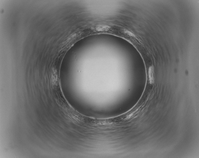 X0000070361443200606161239