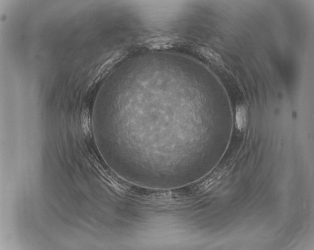 X0000070361444200606161239