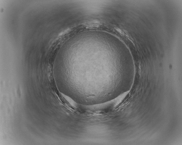 X0000070361445200606161239