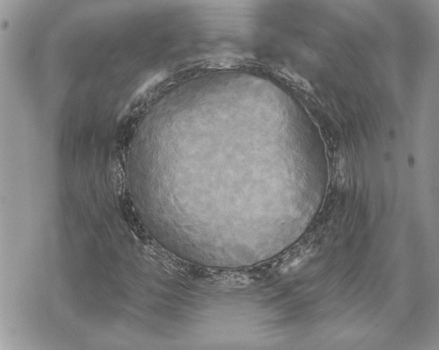 X0000070361446200606161239