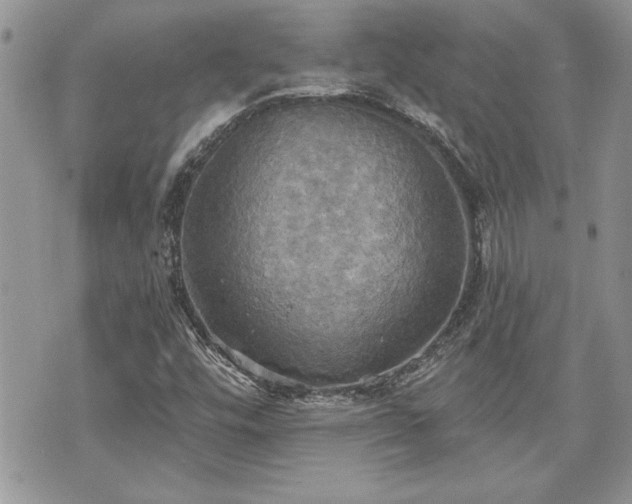 X0000070361448200606161239