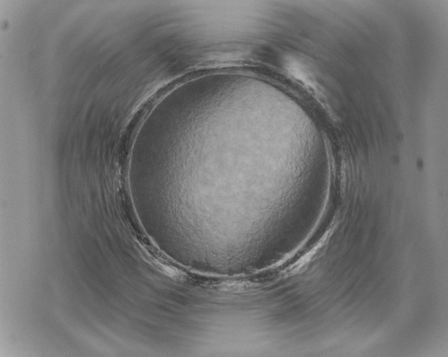 X0000070361449200606161239