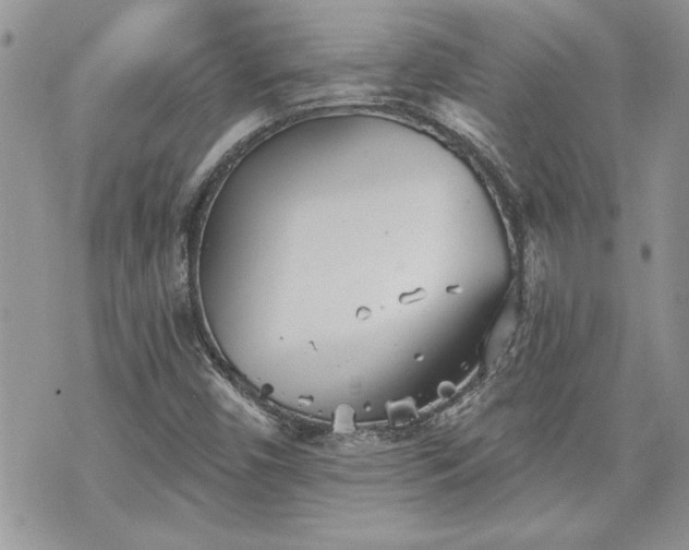 X0000070361450200606161239