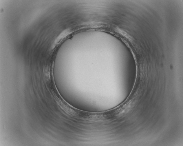 X0000070361451200606161239