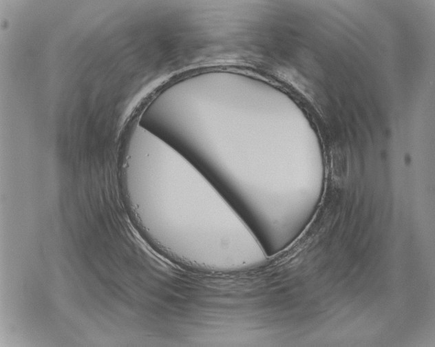 X0000070361452200606161239