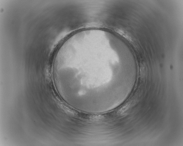 X0000070361454200606161239