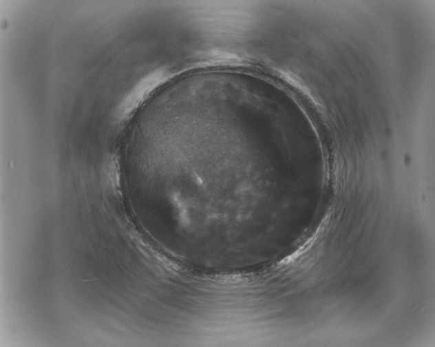 X0000070361455200606161239