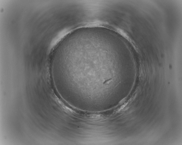 X0000070361456200606161239