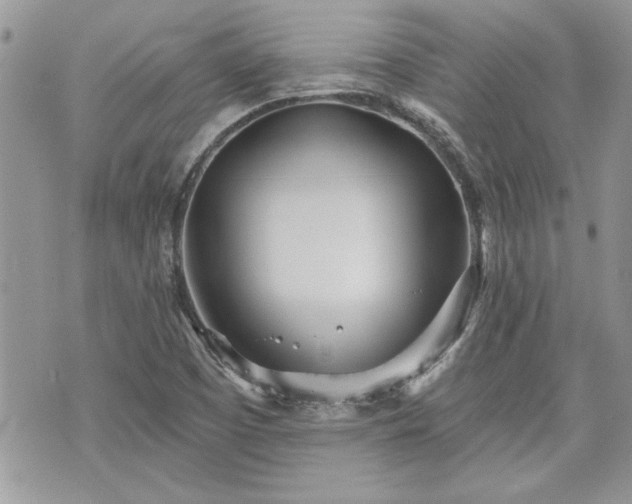 X0000070361457200606161239