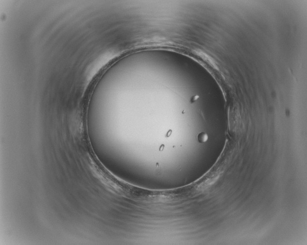 X0000070361458200606161239