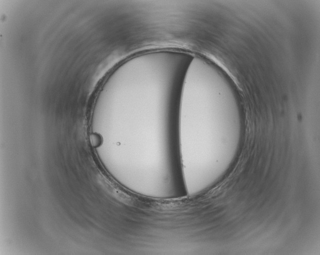 X0000070361460200606161239