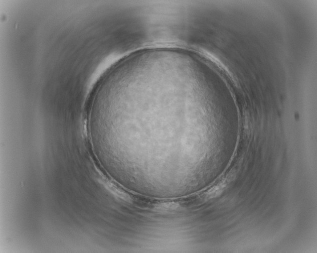 X0000070361462200606161239