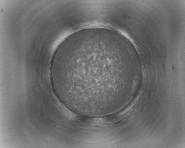 X0000070361463200606161239