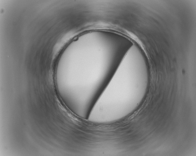 X0000070361464200606161239